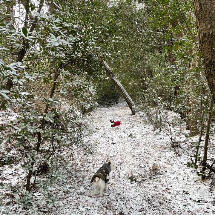 20790d35 0ba7 46e2 90eb e9a2159224f5 1639785616300