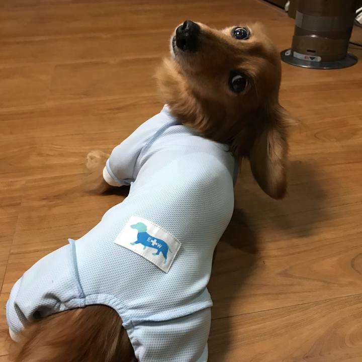 207926fc 6452 4239 b213 d49c80d5a780 1539776742847