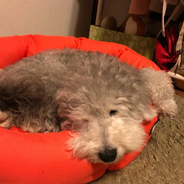 20798e6a 0caf 4624 a45d 6e7daa93c9cd 1528328158395