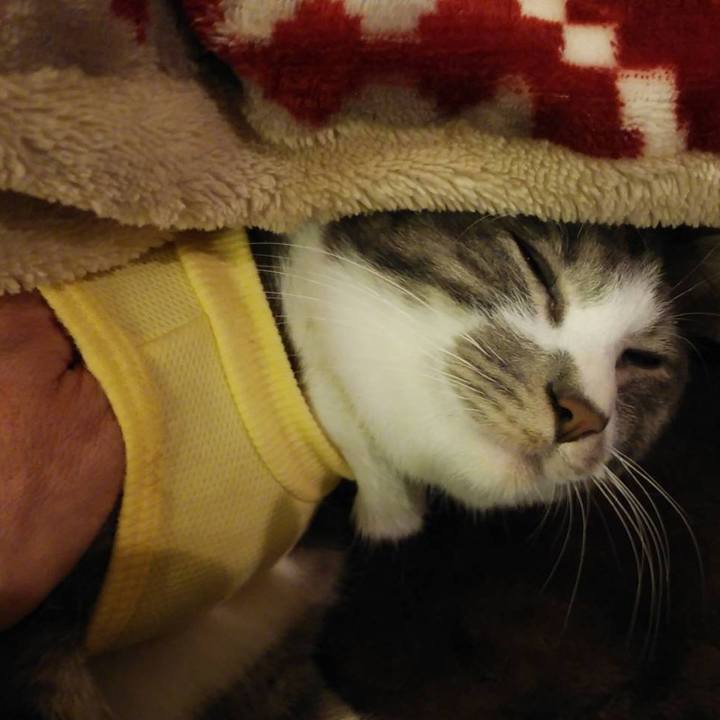 207998cc 654a 49b2 8188 75f762588b2c 1584878857242