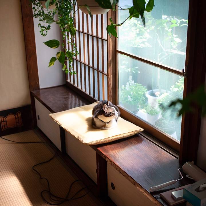 207a1085 c846 42f7 aff9 9313bd1645af 1588835773393