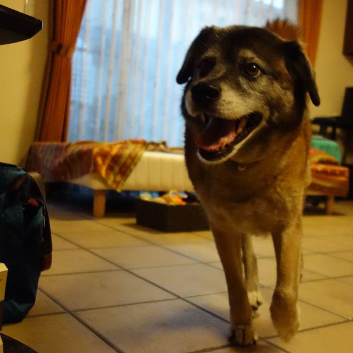 207a1f38 7f28 481d be94 738741e83096 1639527277467