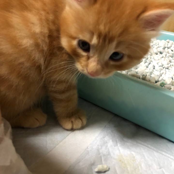 207a2233 cb41 401f 82e1 ce48767b1fd3 1570722035368