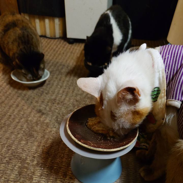 207a27ff 2f8f 46c0 929b df0fdaa3e5e5 1772117104767