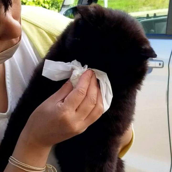 207a3b18 e22d 4577 b14d ba30733c7c74 1686494033853