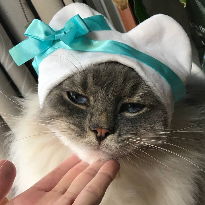 207a3ddf f3f6 43a1 8357 097ae8e795ba 1518613046118