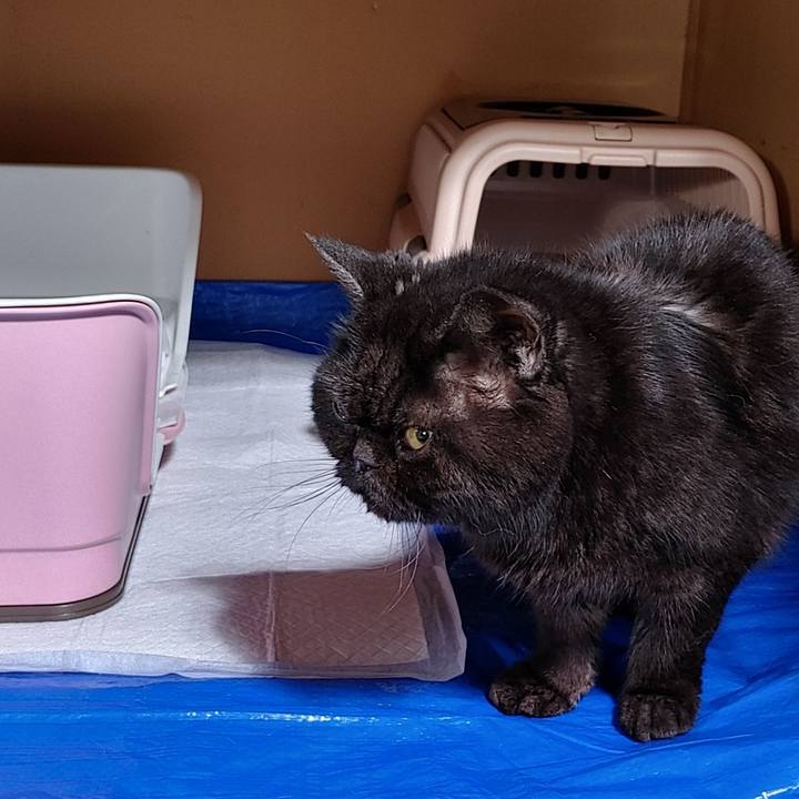 207a3f64 a269 4ffd b121 d23255efae6b 1650358777794