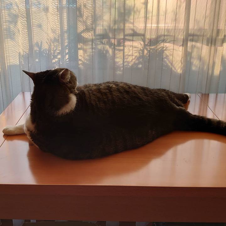 207a710c 10af 4b26 b0c2 753a76f0abe8 1667944314743