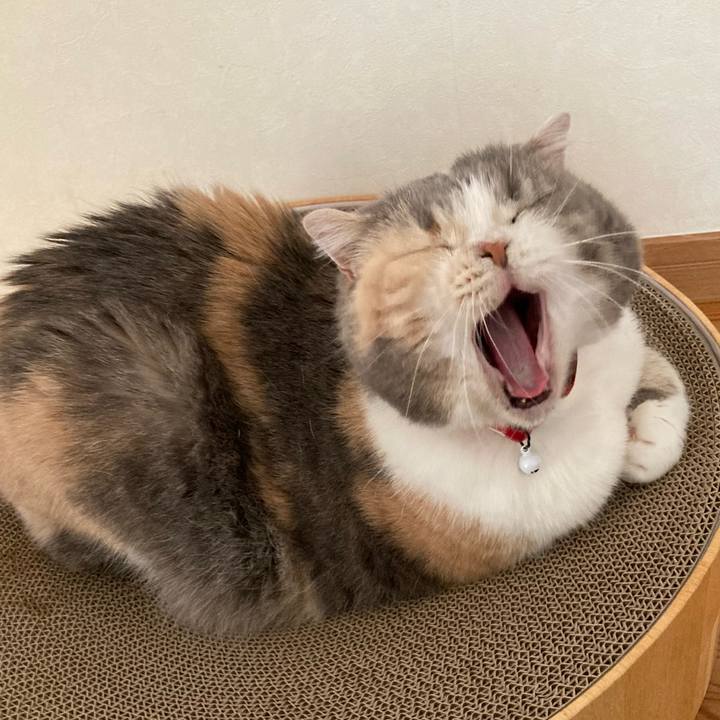 207b1f5b 27d5 43d5 8d53 2a0082486a2f 1716201640384