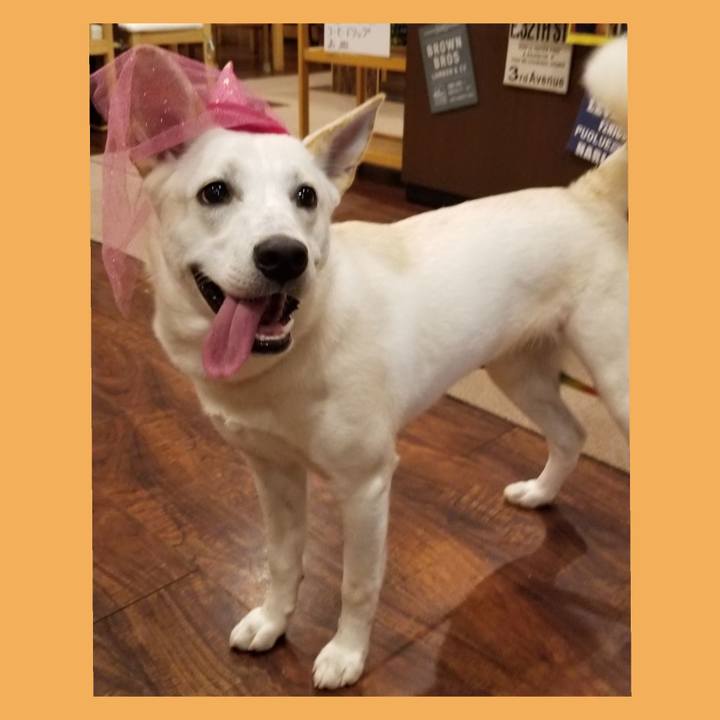 207b25b3 8f10 4024 8187 32fb18b36896 1571880296641