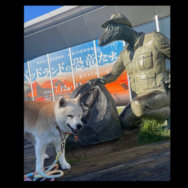 207b5502 686c 4d6e bd38 e2cf84acbf28 1728779831330