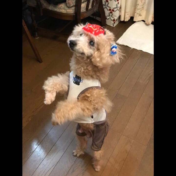 207b555b 0c67 4579 85c9 315cc904c7f8 1517659877905