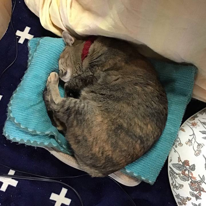 207b8893 cad0 4330 83ce d0494bee9c83 1738754636425