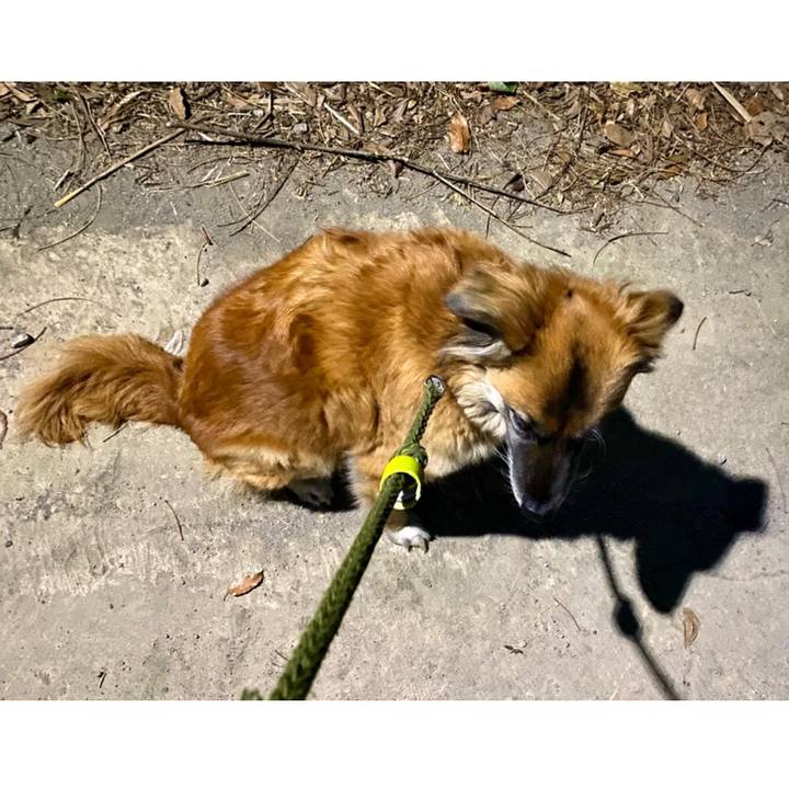 207baede b69a 42b3 87d2 df7beea59d8a 1770286292716