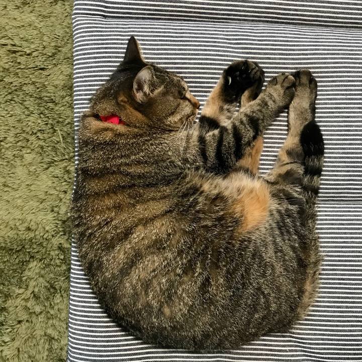 207bdcf8 8532 414a ab14 69265cae3f72 1594443147515