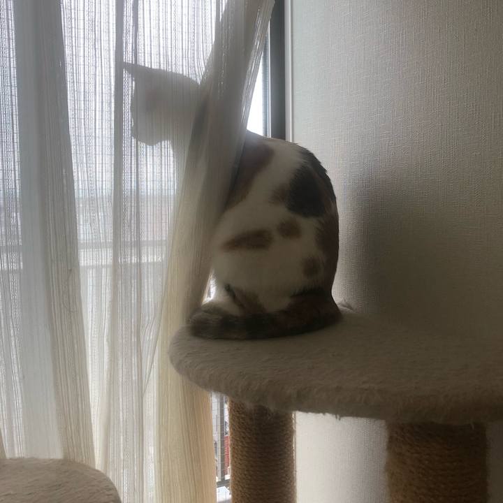 207beada 8b70 4e81 9269 ef10fa39a249 1600040073588