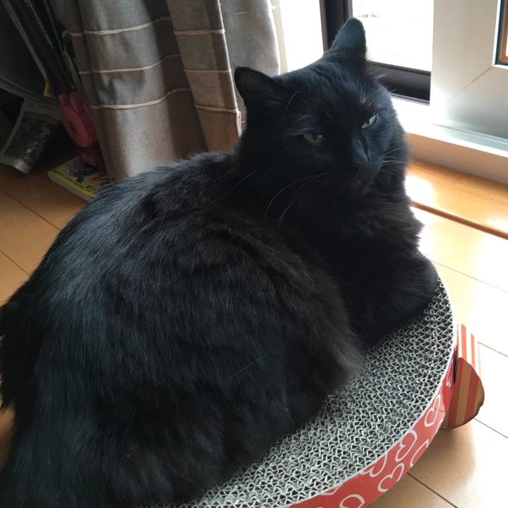 207c2a6f 5f47 4e29 9c76 2be7cc190ea8 1530426013140