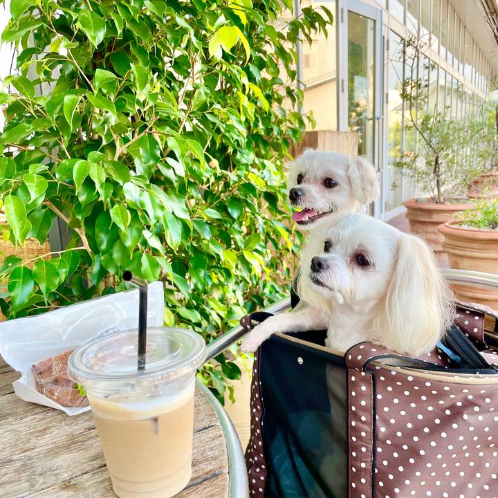 207c6add bc97 445a b2fa 9a5a0849484e 1626320430137