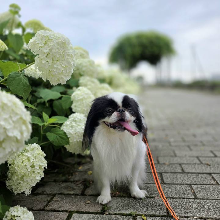 207c7e4e 1fa9 4a84 812d e5dd13fb36c6 1750052470950