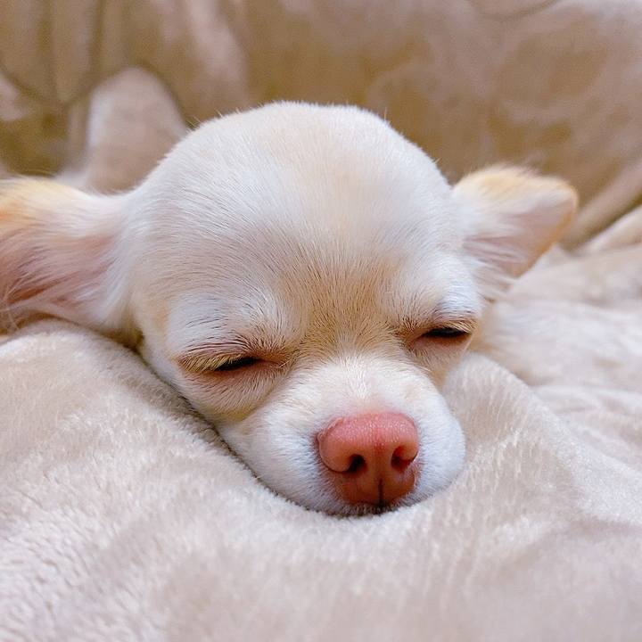 207cc4f0 e485 441c 98eb ffe1db54f365 1613465372755