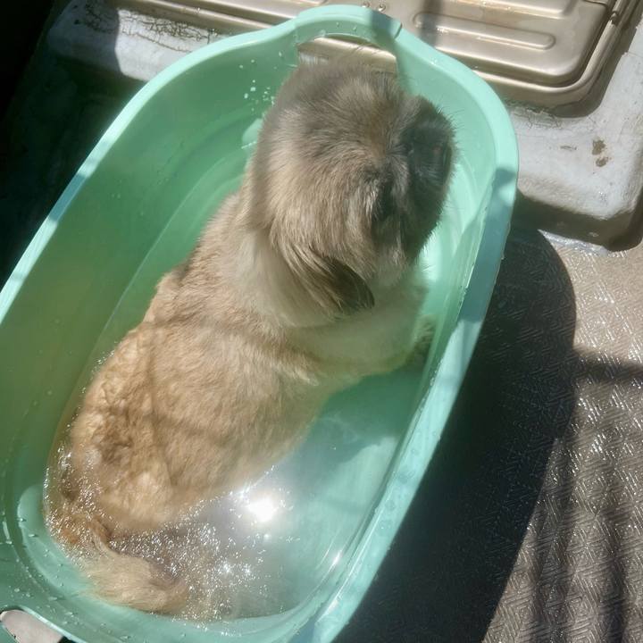 207cc99a 1a6f 4c54 aab9 30b131fd6c44 1722569162931