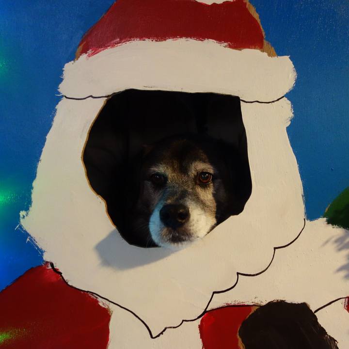 207d0d60 4d9d 4dbe a00b 787e8787c5b1 1545392434193