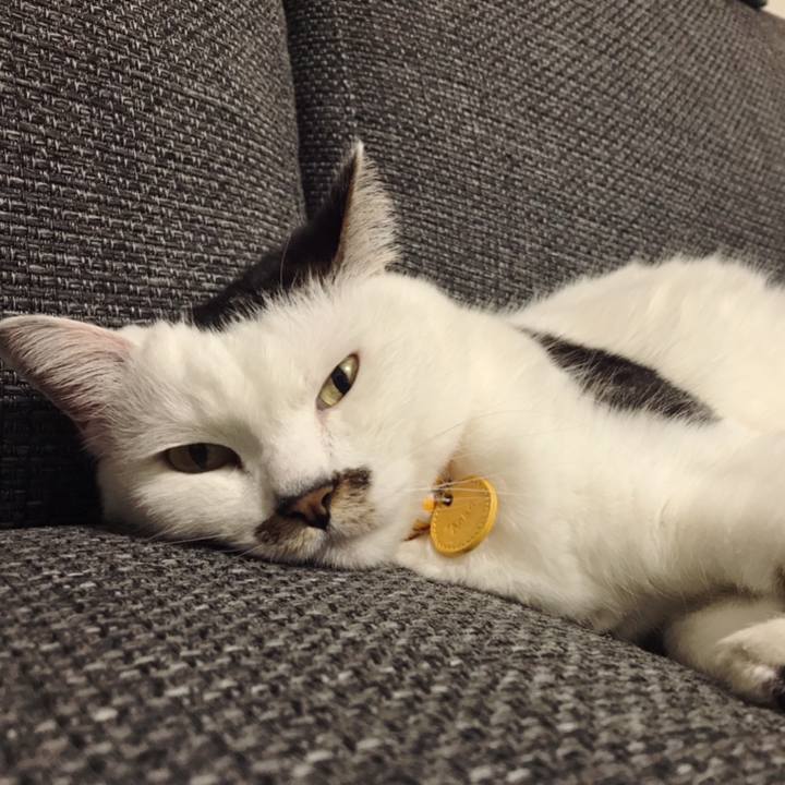 207d356f 6b56 466b 9ec3 acf2777dae04 1588758094474