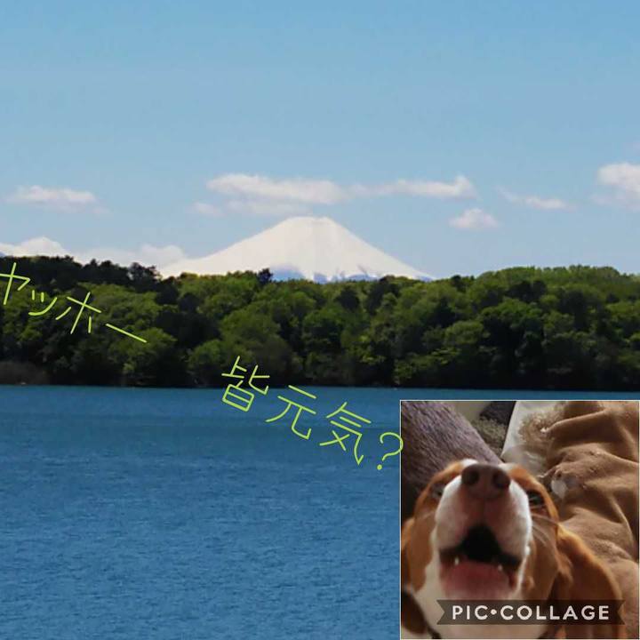 207d3c57 e782 4f9b a8c0 b601c60e3ff1 1587271826462