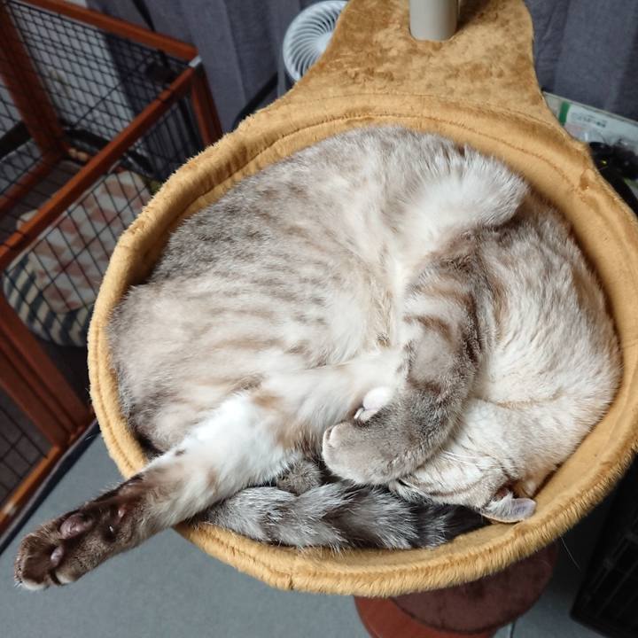 207d5886 533d 40cf 9dd2 a01d4c487bc7 1514807596970