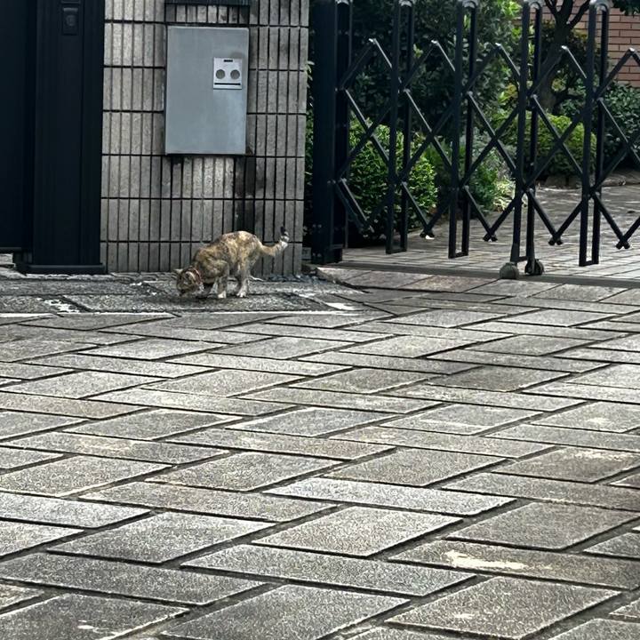 207d729b 1691 485c b8b2 6dd129ab58fb 1760230733707