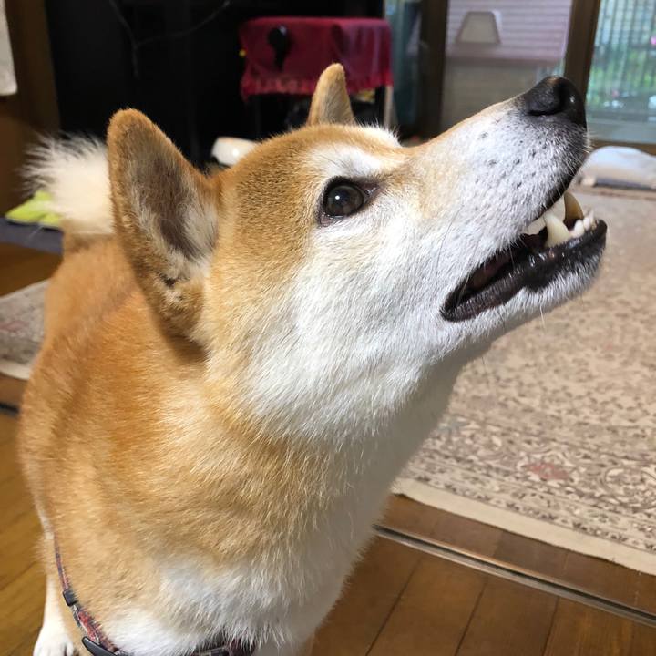 207d8d7f 4a48 40a6 bb42 f5922b6cfb50 1561800457834