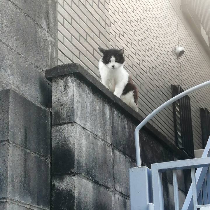 207de994 d2a9 4bb6 9696 b2e66e498b44 1626471715692