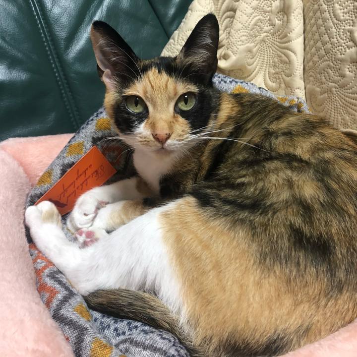 207e0ae5 1b4e 4d87 9b9e 3e1250e4883d 1580478568571