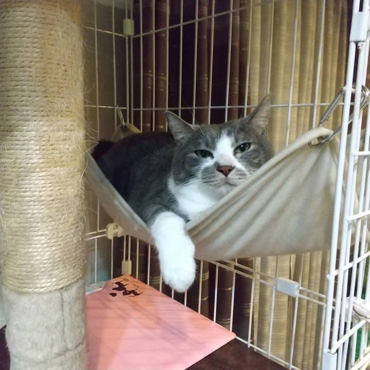 207e156b 732f 4046 8d1b 33f942cb5444 1648556091503