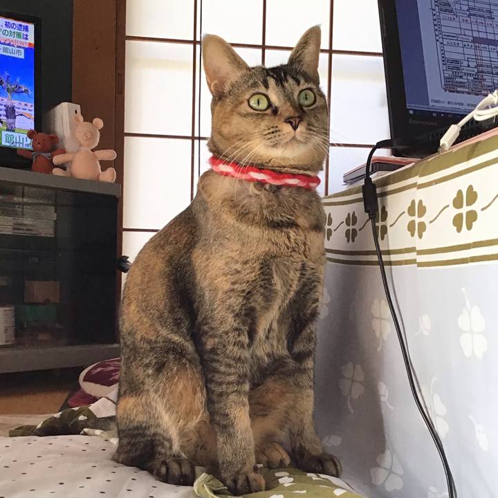 207e1d27 f63a 4f25 8cea 726ffc9148d1 1606702188289