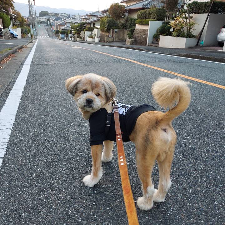 207e3cb8 9989 4515 b543 8fc757cbf8c7 1635545248764