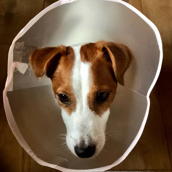 207e3d8f d023 4d12 b295 91f52dc510fb 1628902608754