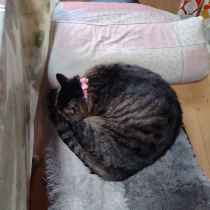 207e6cfc 9919 4947 8584 d6e45d8de74b 1668901543349