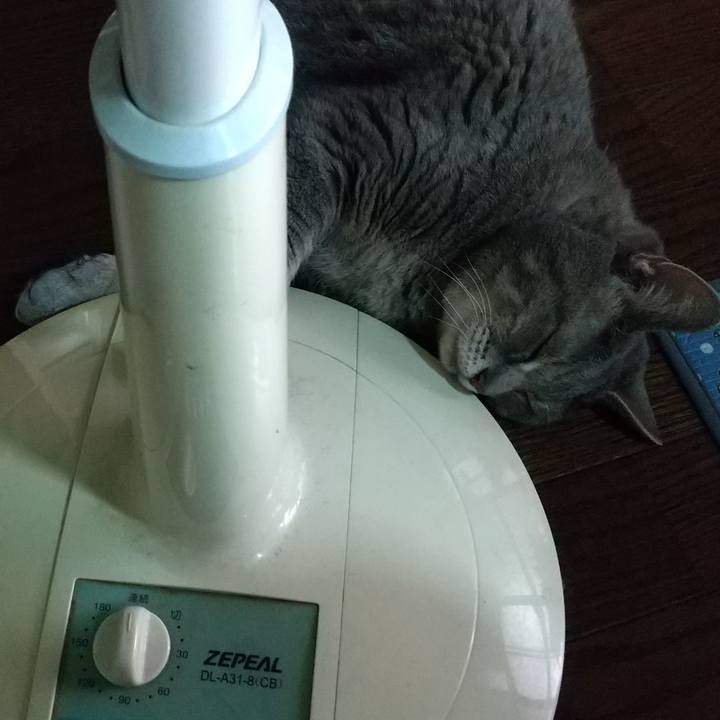 207e77d4 1db4 41c2 a6e4 92d31dc158e3 1658444644057