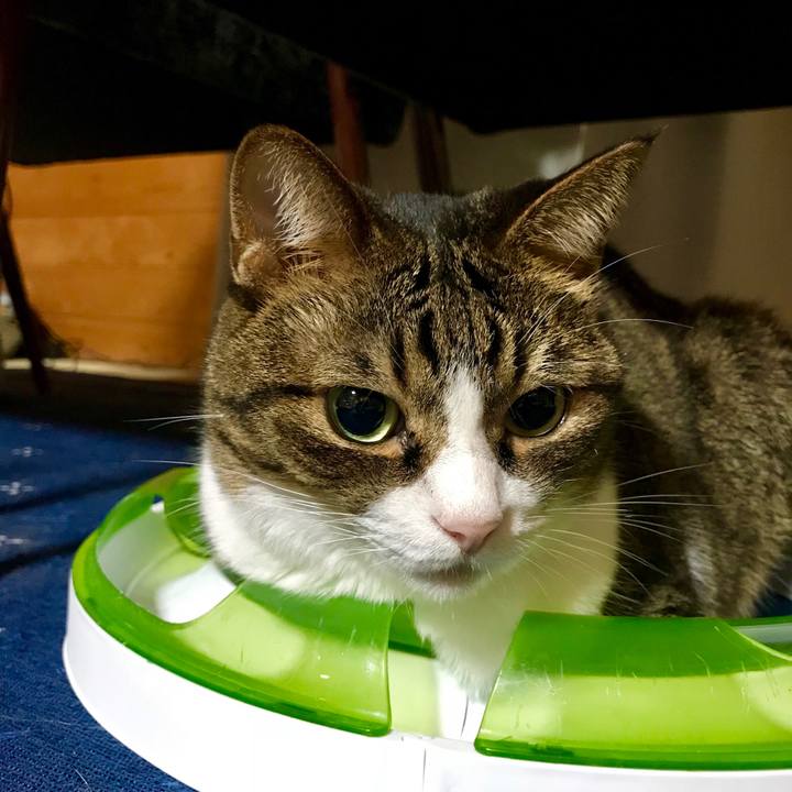 207e96b8 ae35 4003 b280 ffd4e49781ce 1536412538206