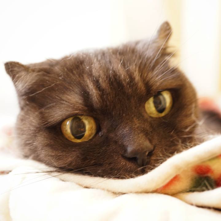 207ebe78 ceef 405d 947d 335fd4ff704d 1629639798486