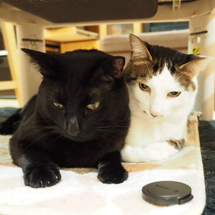 207edfe5 5ff0 4906 8ac8 b858f57d8488 1549497681641