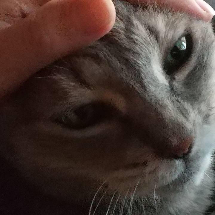 207ee1df 9351 4916 a80c dedb07bcbf30 1692391658408