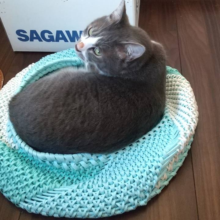 207efaac e966 47d4 bb92 4c70bb458c68 1626385996790