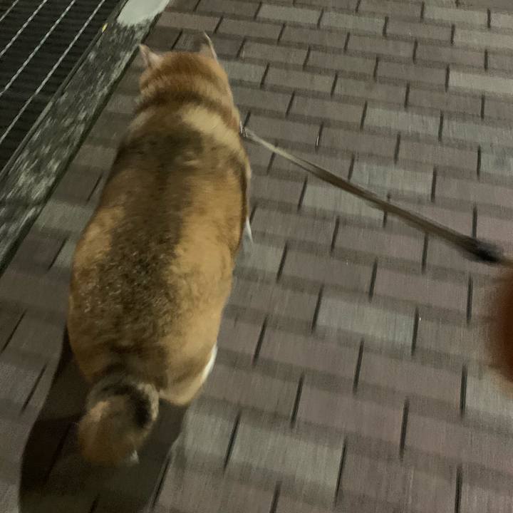 207f2246 142e 449a bcb7 aece456f4383 1640495298476