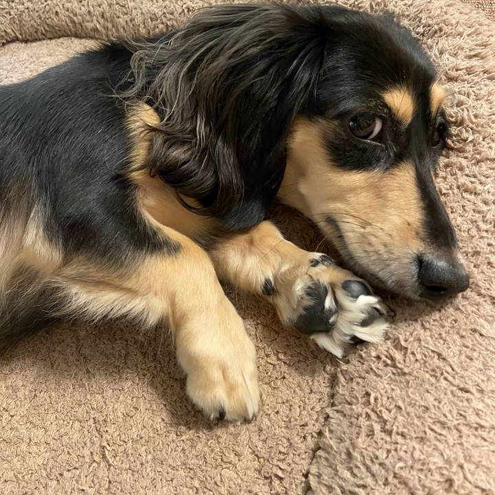 207f2966 21ad 40c5 b3f0 f9d26bafd363 1698725636277