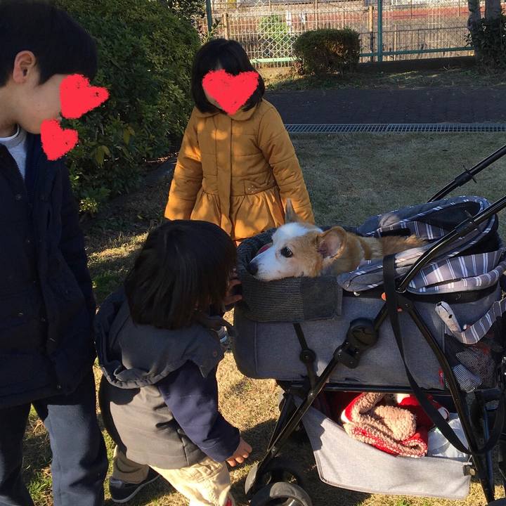 207f3730 a4a1 4279 bb57 66baa577f229 1577602757895