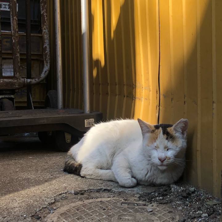 207f5d58 f73d 4e02 a1bd a2ec6d7245ba 1589718568732