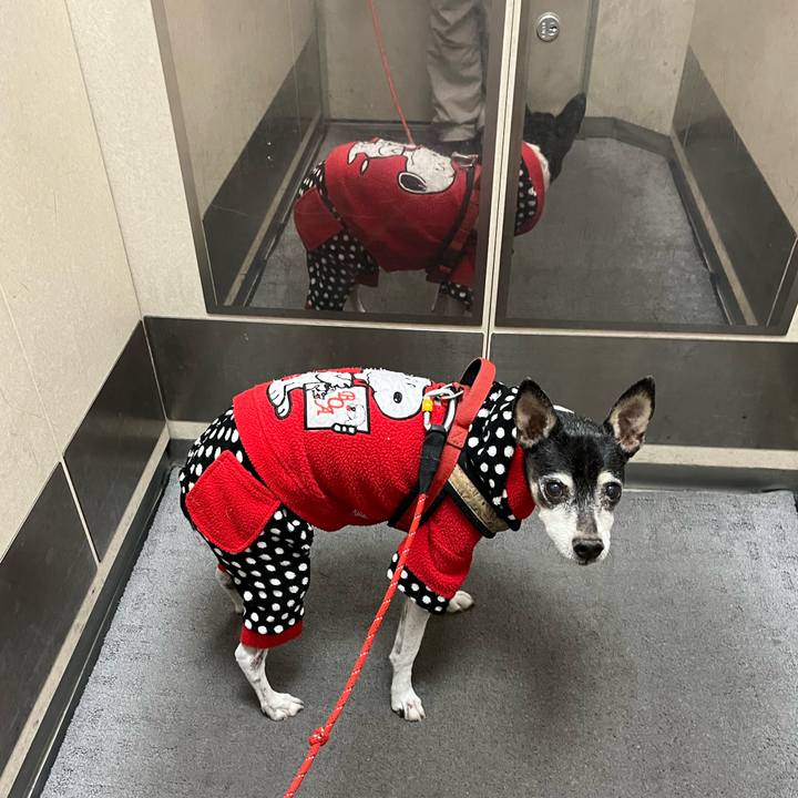 207f6e50 7a79 4bdc 97a4 49b223e6c5a9 1640728475946