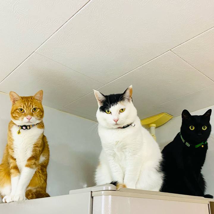 207f7581 660a 4653 be65 49a846227b3e 1673958634846